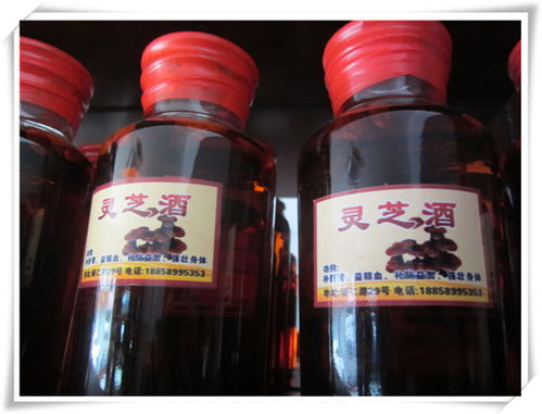 蘭溪嘉行養(yǎng)生酒 精品酒 輔仁路